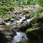 L'enclos O Rendez-vous Roquefeuil-pays De Sault- Avec Jardin Apartmán