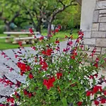 Apartmán L'enclos O Rendez-vous Roquefeuil-pays De Sault- Avec Jardin Roquefeuil