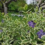 L'enclos O Rendez-vous Roquefeuil-pays De Sault- Avec Jardin Apartmán Roquefeuil