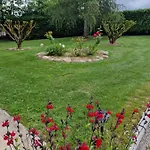 Apartmán L'enclos O Rendez-vous Roquefeuil-pays De Sault- Avec Jardin *