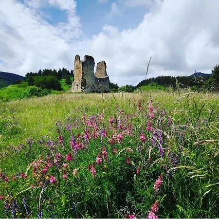 L'enclos O Rendez-vous Roquefeuil-pays De Sault- Avec Jardin Lägenhet Roquefeuil