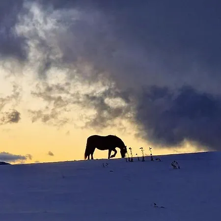 L'enclos O Rendez-vous Roquefeuil-pays De Sault- Avec Jardin * Roquefeuil