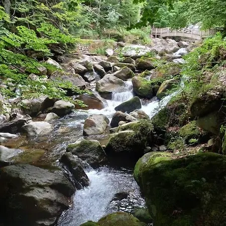 L'enclos O Rendez-vous Roquefeuil-pays De Sault- Avec Jardin 아파트
