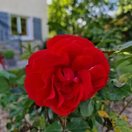 L'enclos O Rendez-vous Roquefeuil-pays De Sault- Avec Jardin 아파트