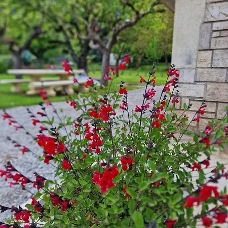 Lägenhet L'enclos O Rendez-vous Roquefeuil-pays De Sault- Avec Jardin Roquefeuil