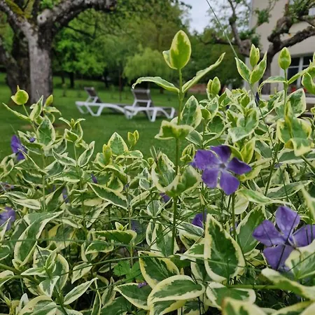 L'enclos O Rendez-vous Roquefeuil-pays De Sault- Avec Jardin Lägenhet Roquefeuil