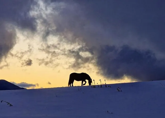 L'enclos ô Rendez-vous Roquefeuil-pays De Sault- Avec Jardin * Roquefeuil
